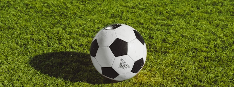 足球世界杯赛场球迷欢呼庆祝进球的热烈场面，看台人山人海